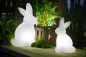 Preview: Deko-Aussenleuchte Rabbit